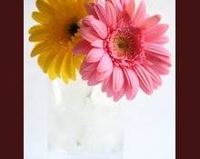 أعيدوا نهر العواطف في بيوتكم