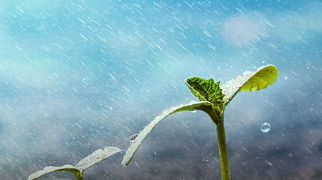 خطبة الاستسقاء