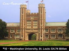 ازدراء الفكر السياسي في الجامعات الأمريكية