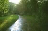 عودة أرض العرب مروجاً وأنهاراً