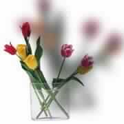 رفقـا بالقــوارير